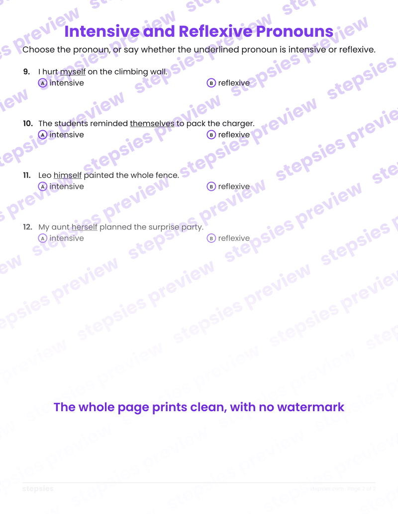 Intensive and Reflexive Pronouns: page 2