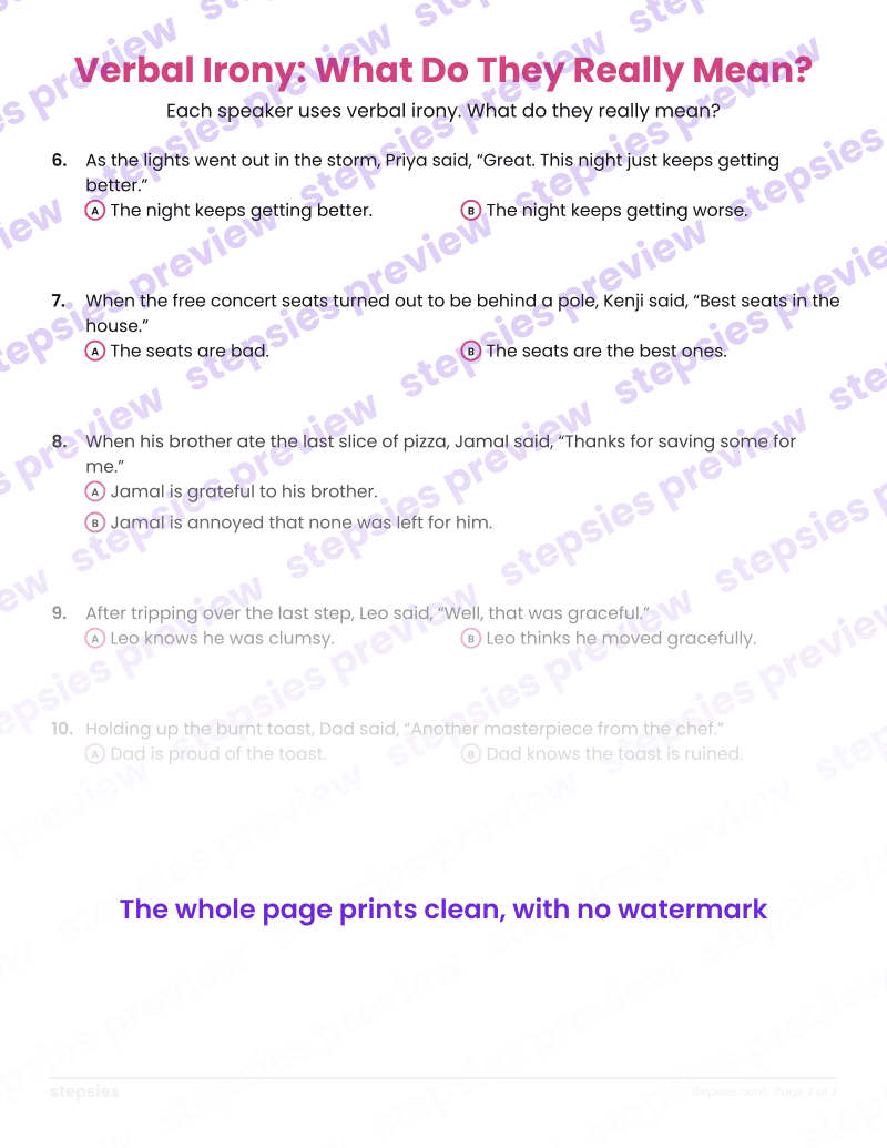 Verbal Irony: What Do They Really Mean?: page 2